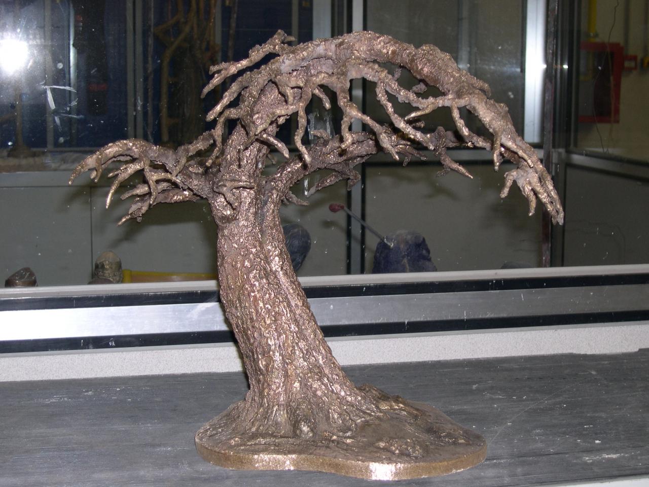 l'arbre cocon est en attente de patine